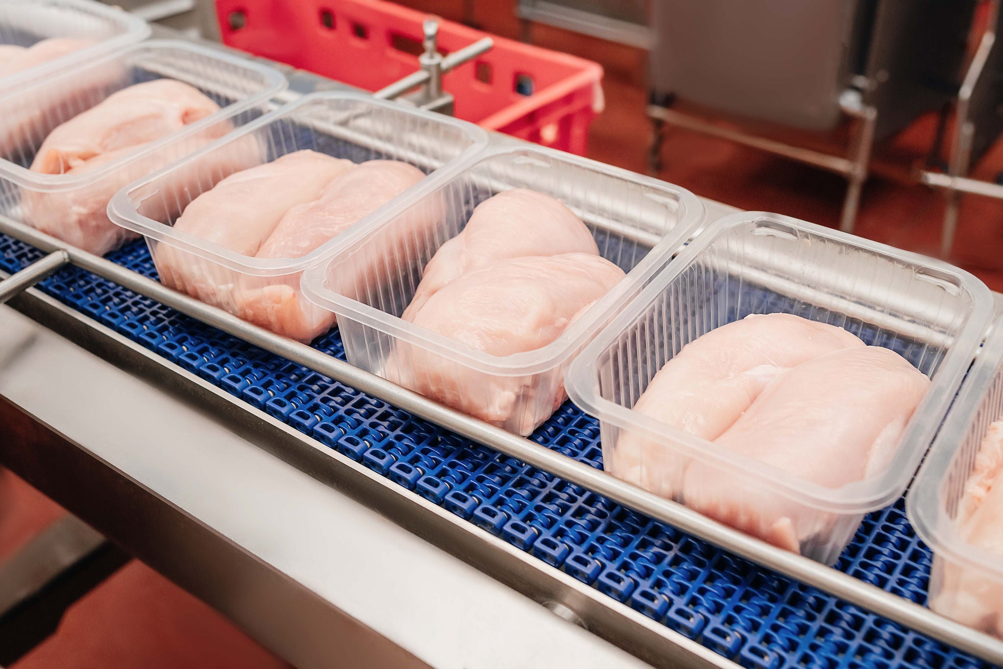 A modern plant.Factory production food from meat. Production line with packaging and cutting of meat.Conveyor Belt Food.Automated production line in modern food factory.; Shutterstock ID 2155109117; purchase_order: MUDE; job: ; client: Cornelia Geiger; other: ; is_generated: true