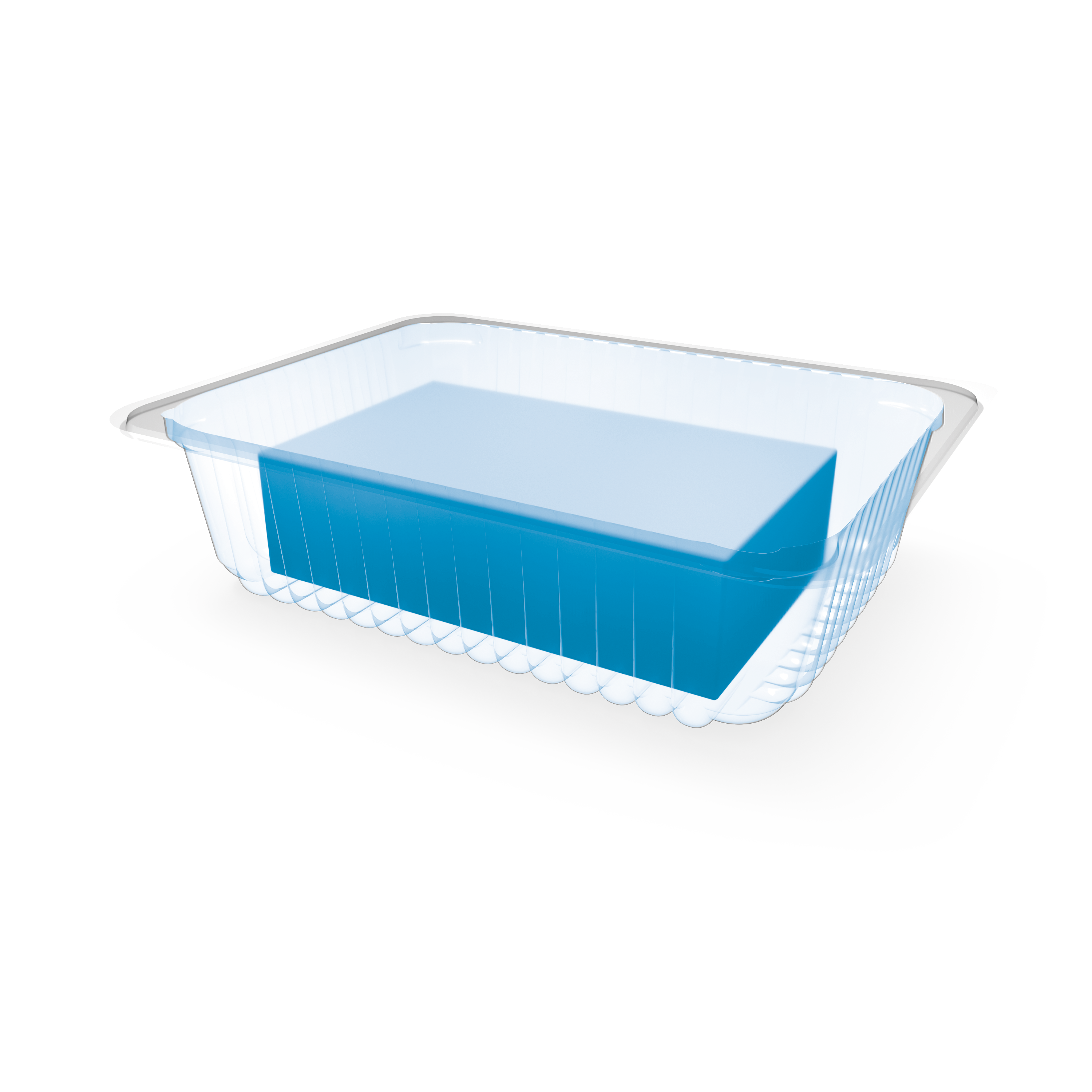Single Layer STORAGE BOX, Clear Customisable Container