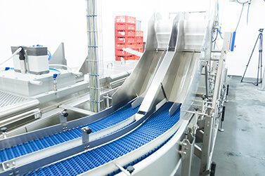 MULTIVAC Packaging Machine Conveyor System