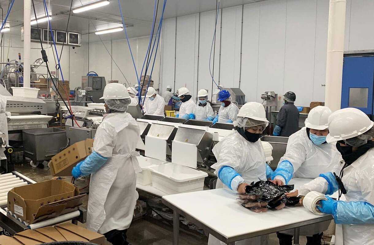 MULTIVAC Food Processing Equipment in Factory