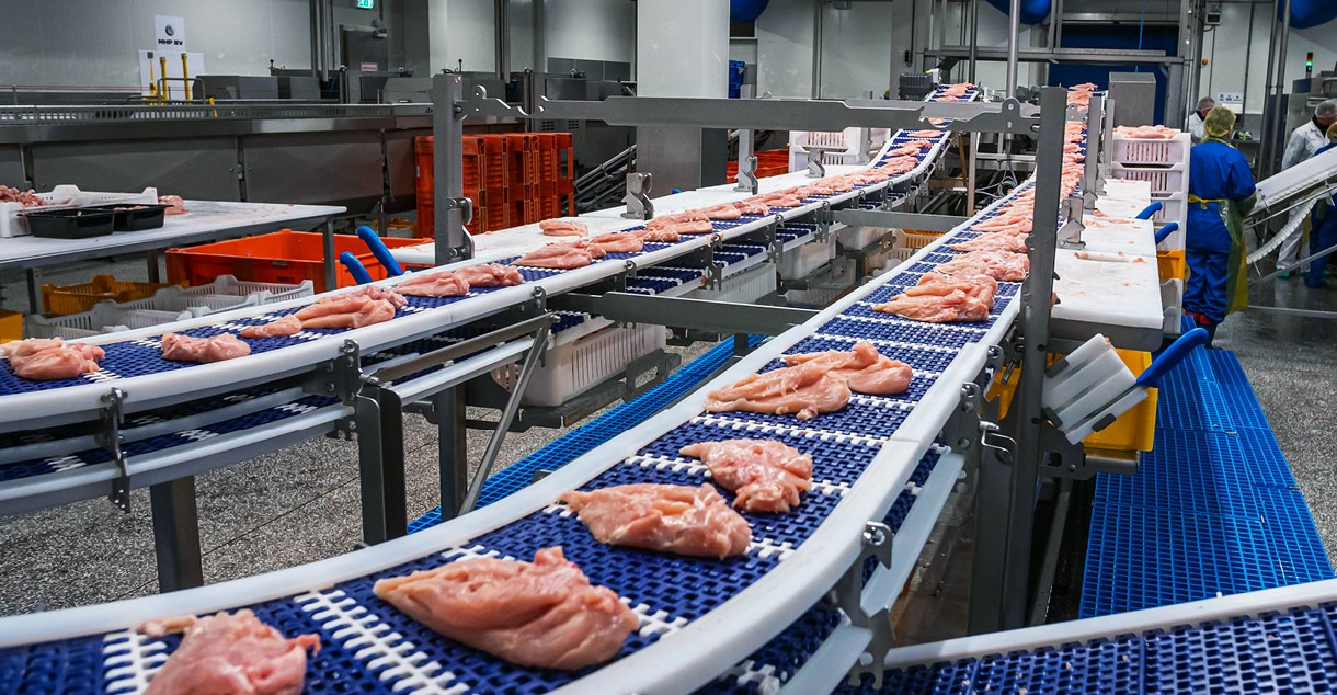 MULTIVAC Meat Processing Conveyor System