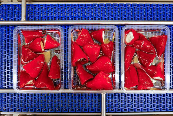 Food Packaging Machine MULTIVAC Efficiency