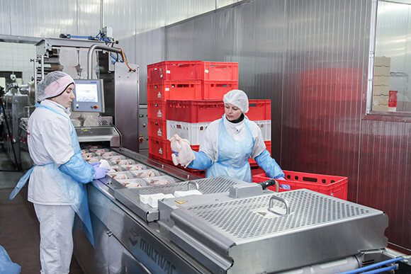 MULTIVAC Packaging Machine in Food Processing Facility