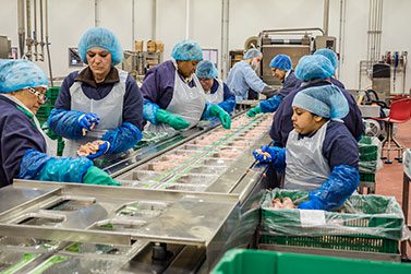 MULTIVAC Food Packaging Assembly Line