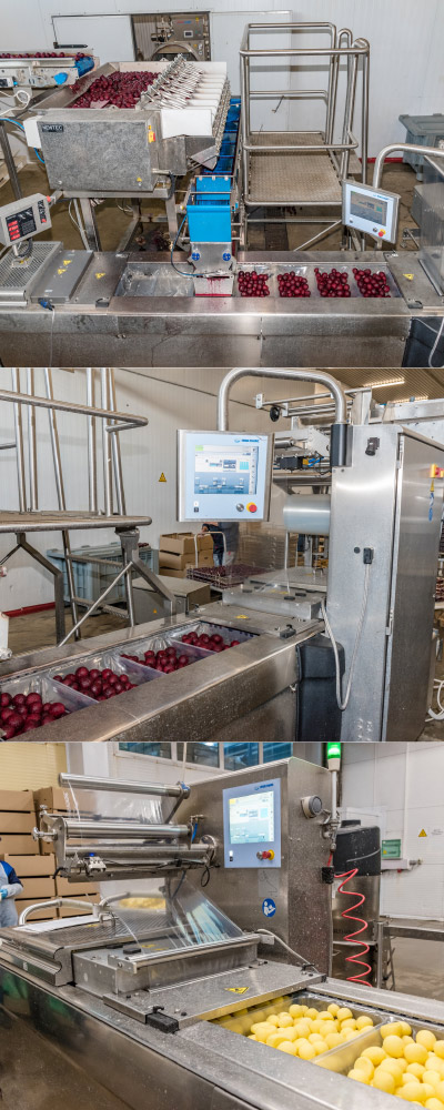 MULTIVAC Food Packaging Machine in Action